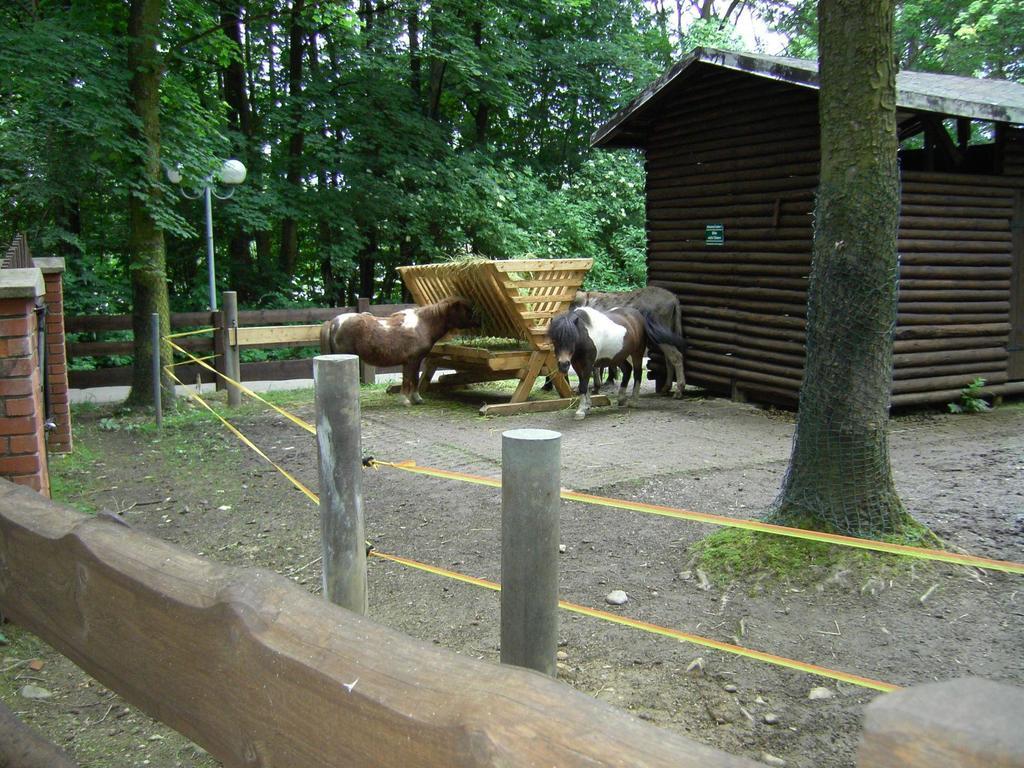 Rothers-Ferienwohnung Annaberg-Buchholz Luaran gambar
